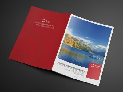 总监-画册设计