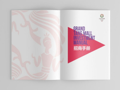 总监-画册设计-招商画册