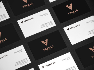 总监-LOGO设计-半球