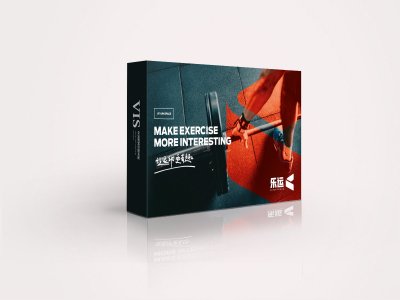 总监-VI设计-乐运体育运动