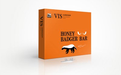 总监-VI设计-酒吧