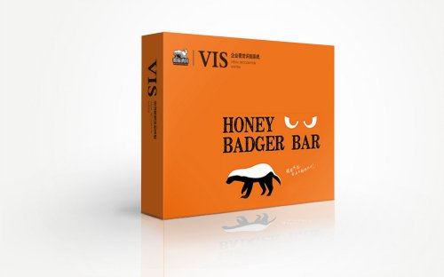 总监-VI设计-酒吧