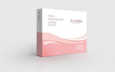 总监-芭蕾舞蹈品牌形象全套VI设计