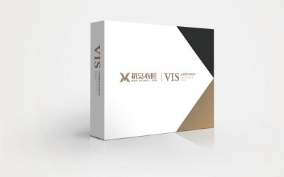 总监-VI设计-服装