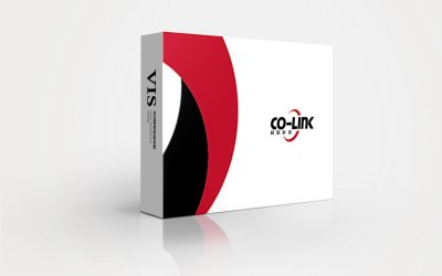 总监-VI设计-信息科技