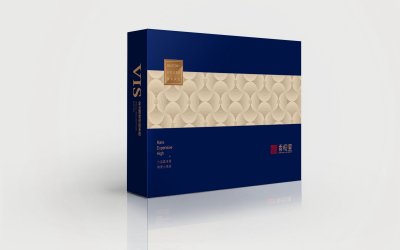 总监-VI设计-商业地产