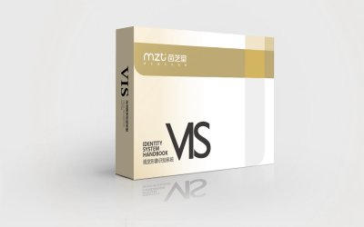 总监-VI设计-医疗美容