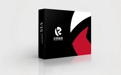 总监-VI设计-体育