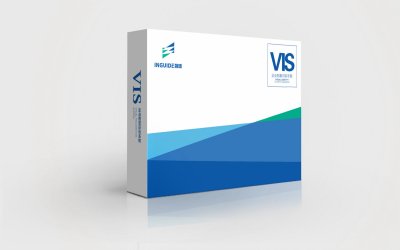 总监-VI设计-电子科技