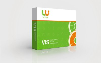 总监-VI设计-超市