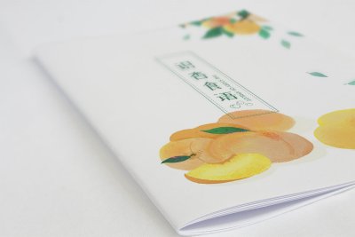 资深-画册设计-手绘画册