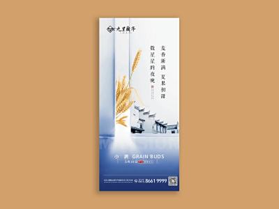 新锐-小满节气海报设计