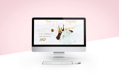 网装设计-服装行业网装设计