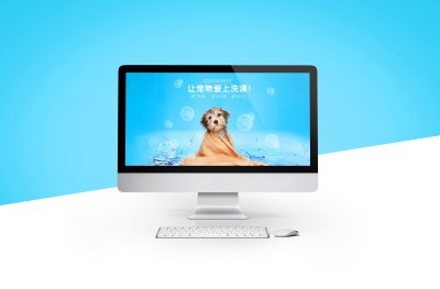 网装设计-宠物详情网页设计