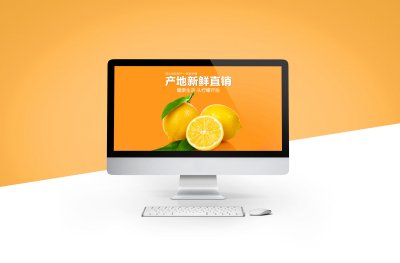 网装设计-柠檬网页详情设计