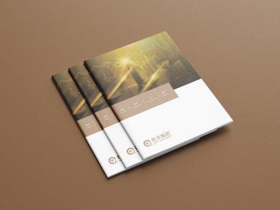 总监-画册设计-乾丰集团