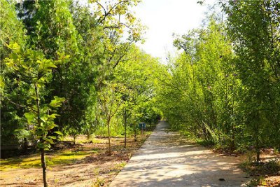 华夏陵园电话号码是什么？