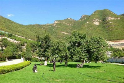 桃峰陵园电话号码是多少