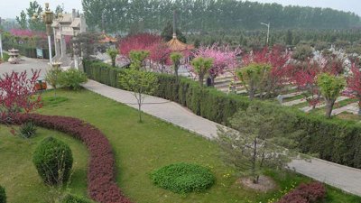 高静园陵园电话是多少？