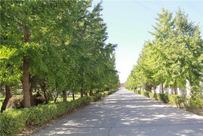 永安陵园（涿州）好不好？