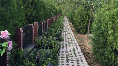 玉叶陵园电话号码是什么？