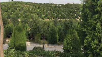 玉叶陵园环境如何？