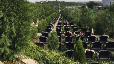 玉叶陵园好不好？