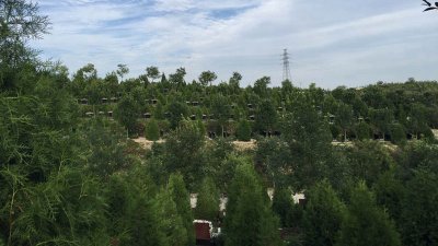 玉叶陵园简单介绍