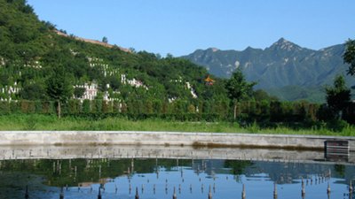 天山陵园怎么去？在哪里？