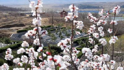 宝云岭墓园简单介绍