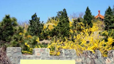 宝云岭墓园电话号码是什么？