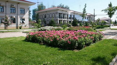 潮白陵园环境如何？