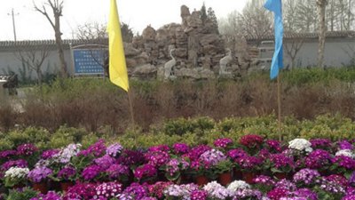 惠灵山陵园墓地价格是多少？