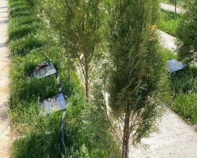 墓地碑型