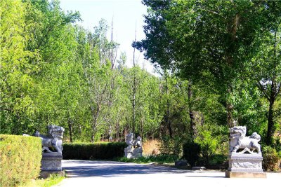 福安园公墓电话是多少？