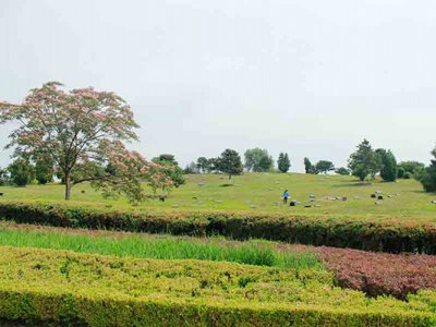 华龙皇家陵园简单介绍