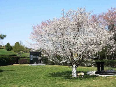 华龙皇家陵园电话号码是什么？