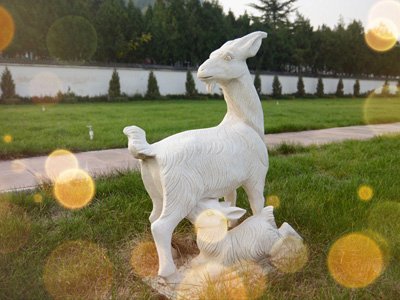 九里山公墓二区电话号码是什么？