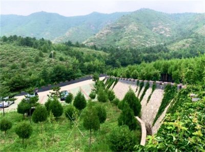 九龙山陵园简单介绍