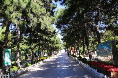 外侨公墓电话号码是什么？