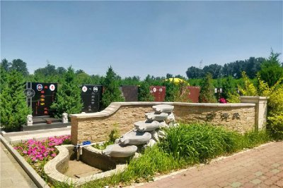 万桐园陵园环境如何？