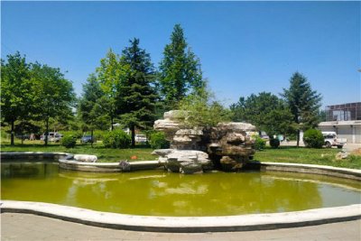 万桐园好不好？