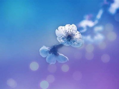 临终关怀，最后的温暖陪伴