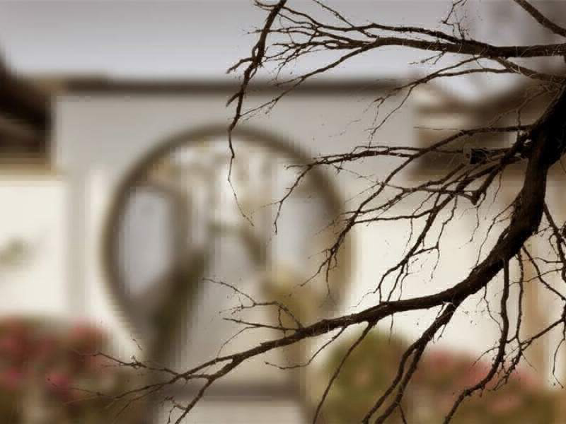 买墓签合同必须明确哪些关键条款