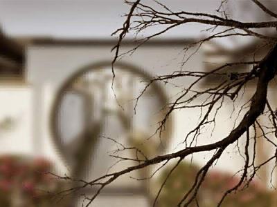 买墓签合同必须明确哪些关键条款