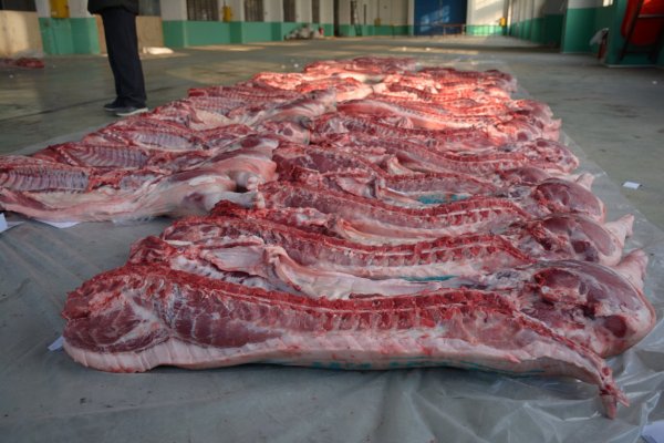 疫情不減溫情  年貨溫暖人心