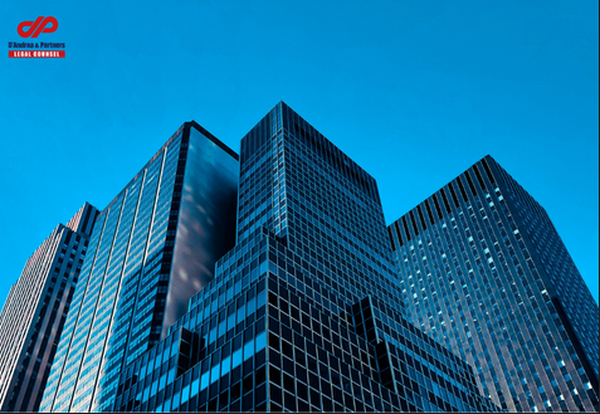 越南一人有限责任公司的公司治理