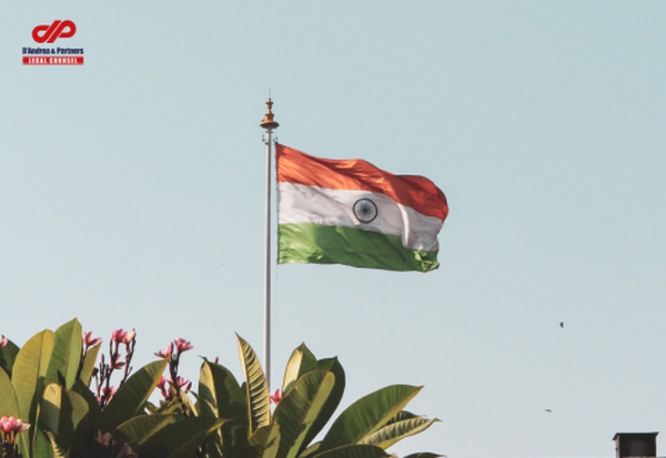 印度公司的解散和清算概况