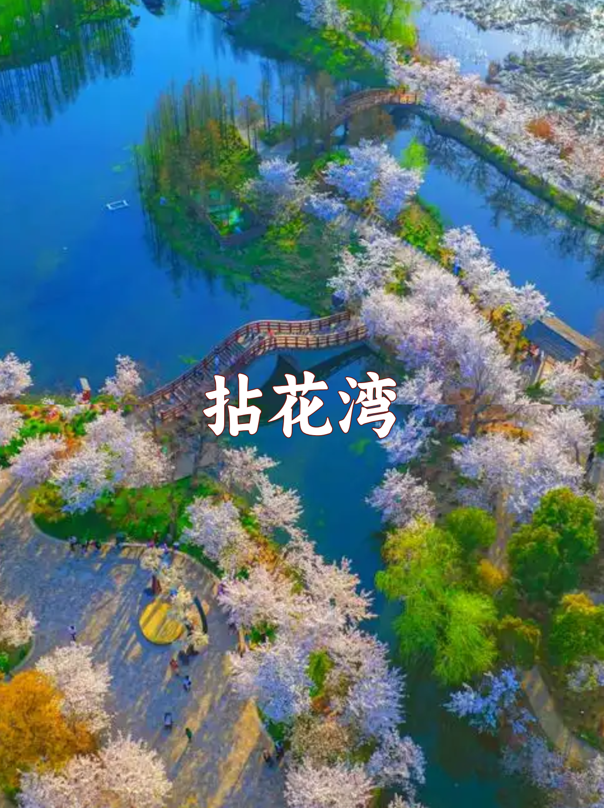 无锡春季赏花团建怎么玩？HR必看 一篇攻略搞定！