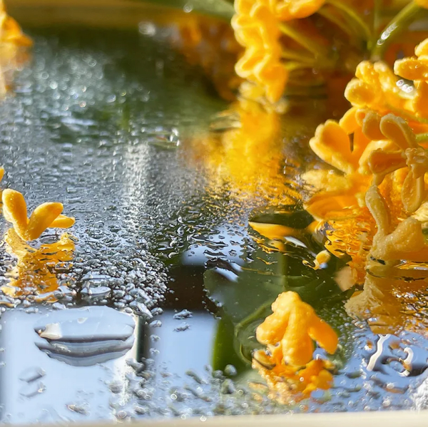 天府新区行知学校中秋放假通知